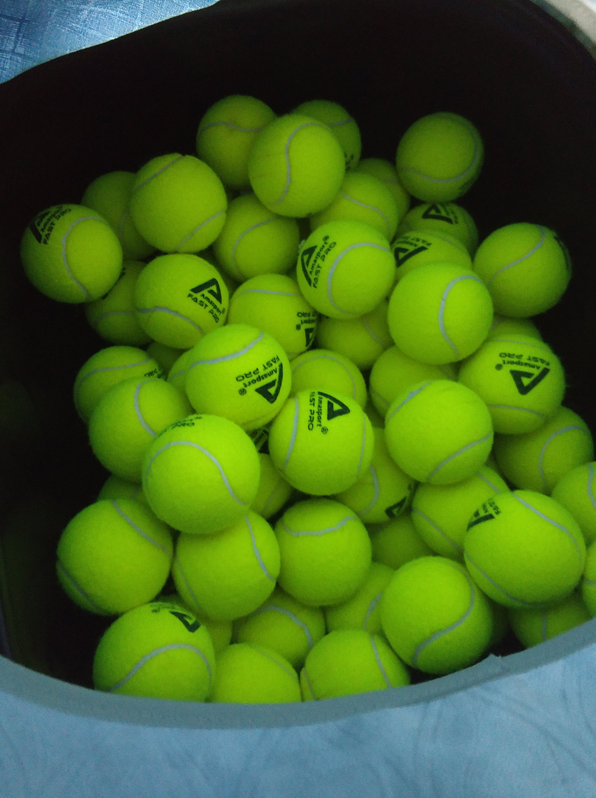 世界羽毛球 世界羽毛球